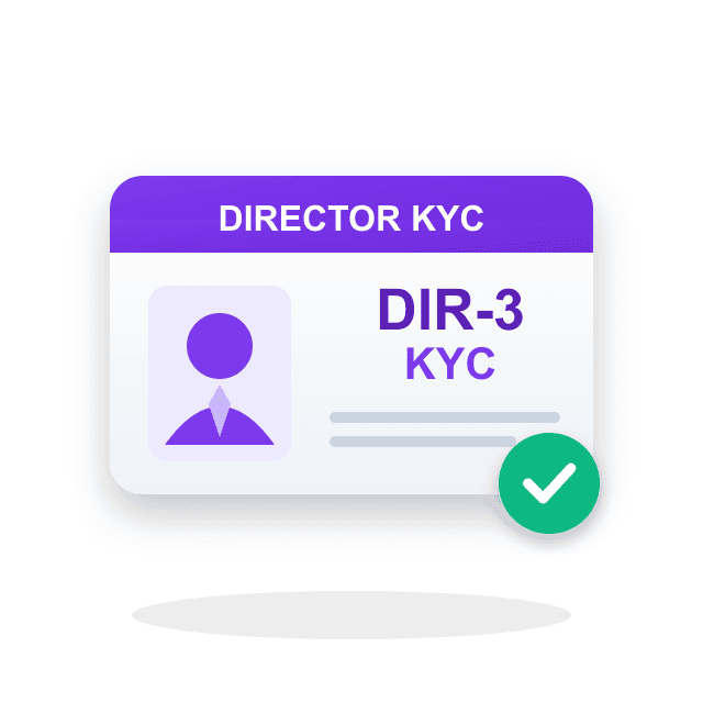 Director KYC Application Sample
