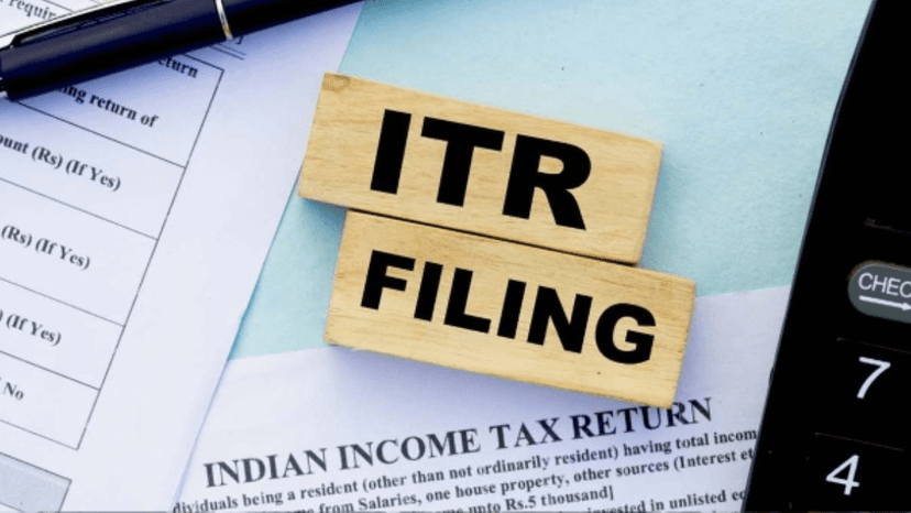 ITR Filing Application Sample